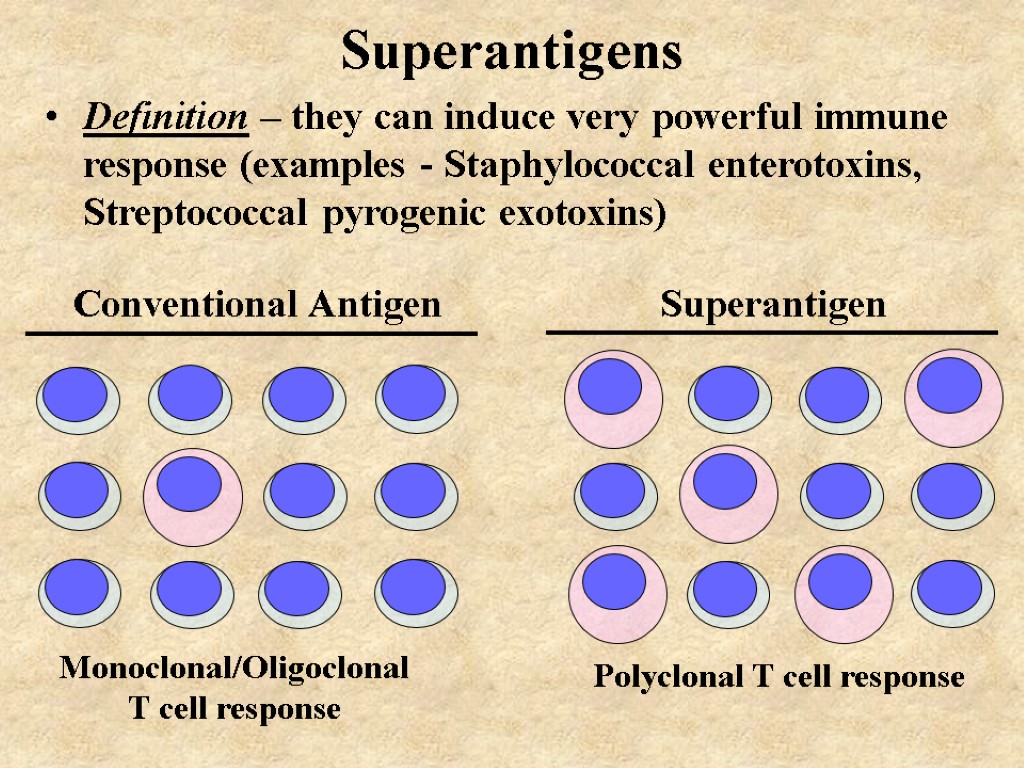 Superantigens Monoclonal/Oligoclonal T cell response Definition – they can induce very powerful immune response